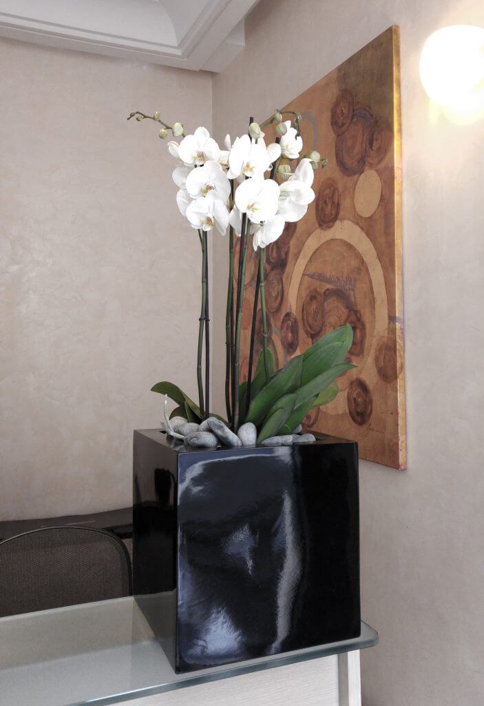 Fiche-11-green-inside-703×1024 fleurs