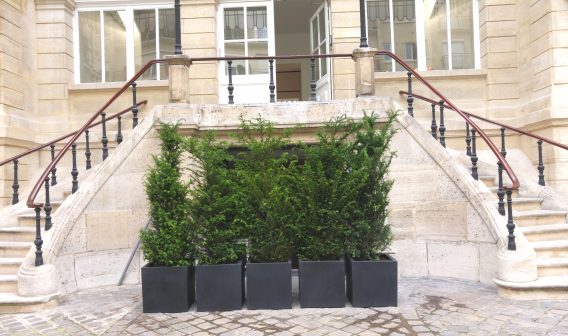 location de plantes entreprise